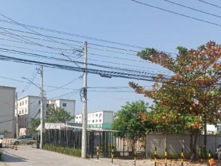 Imagem do imóvel AP61000