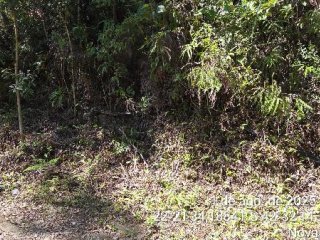 Imagem do imóvel TE71523