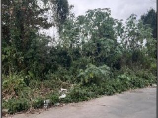 Imagem do imóvel TE92744