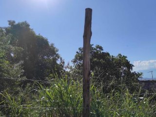 Imagem do imóvel TE49446