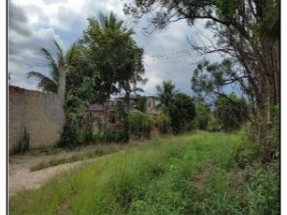 Imagem do imóvel CA50240