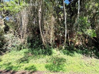 Imagem do imóvel TE88775