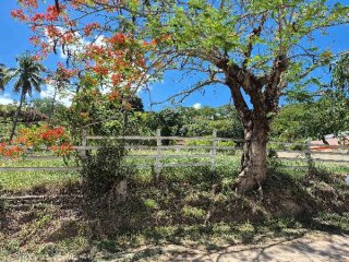 Imagem do imóvel CA03700