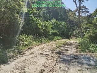 Imagem do imóvel TE06067