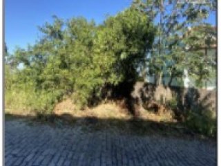 Imagem do imóvel TE99187