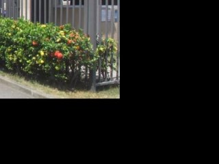 Imagem do imóvel AP84389