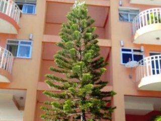 Imagem do imóvel AP12044