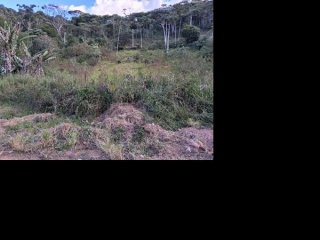 Imagem do imóvel TE25621