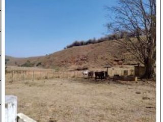 Imagem do imóvel IR23548