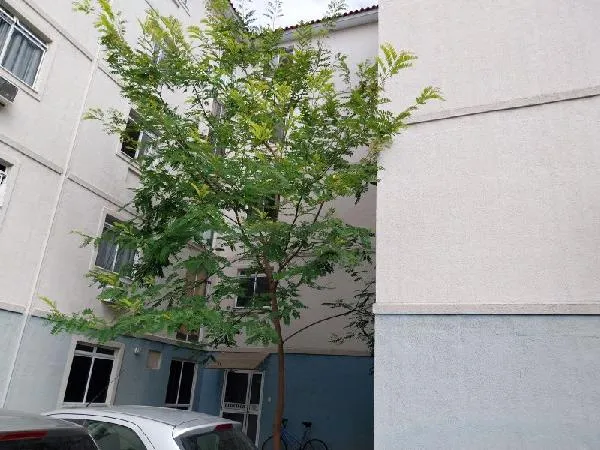Imagem do imóvel AP87288