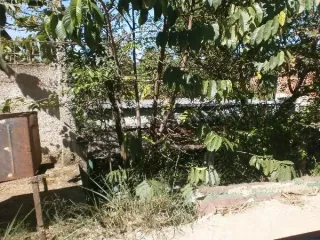 Imagem do imóvel CA74597