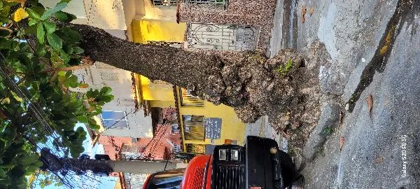 Imagem do imóvel CA87138