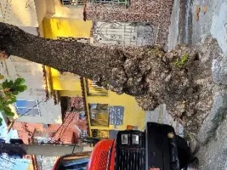 Imagem do imóvel CA87138