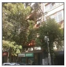 Imagem do imóvel SA21252