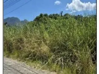Imagem do imóvel TE92881