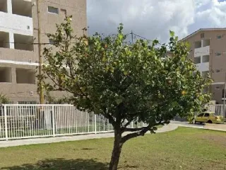 Imagem do imóvel AP18424