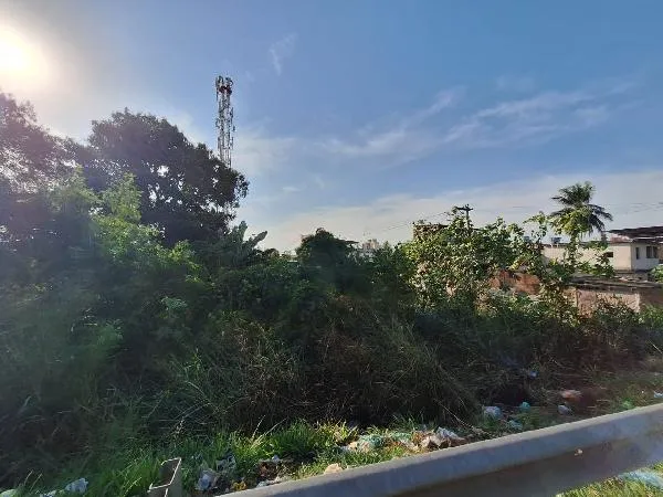 Imagem do imóvel CA86785