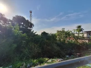 Imagem do imóvel CA86785