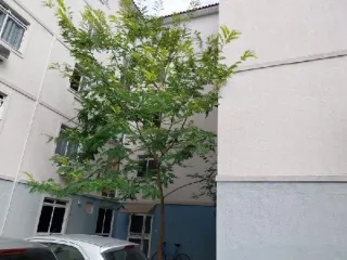 Imagem do imóvel AP33067
