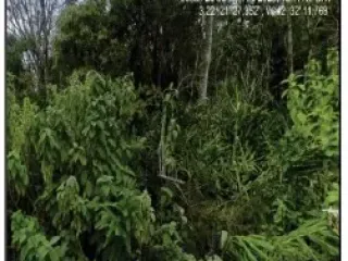 Imagem do imóvel TE53507