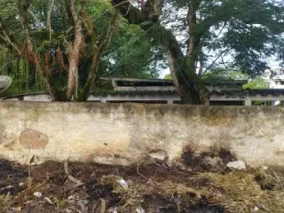 Imagem do imóvel CA21061
