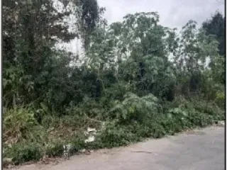 Imagem do imóvel TE03877