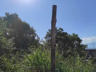 Imagem do imóvel TE79850