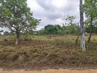 Imagem do imóvel TE80810