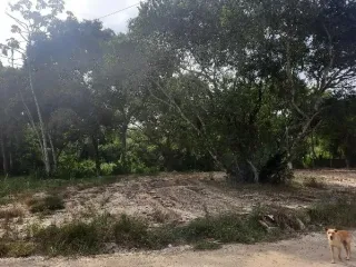 Imagem do imóvel TE55604