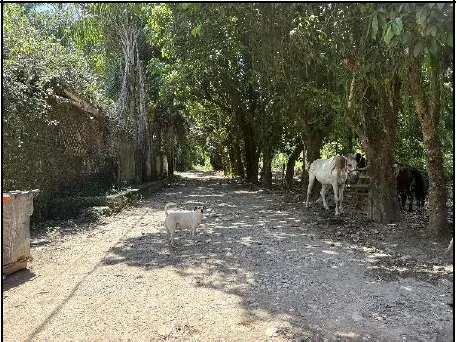 Imagem do imóvel TE87897
