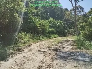 Imagem do imóvel TE53800