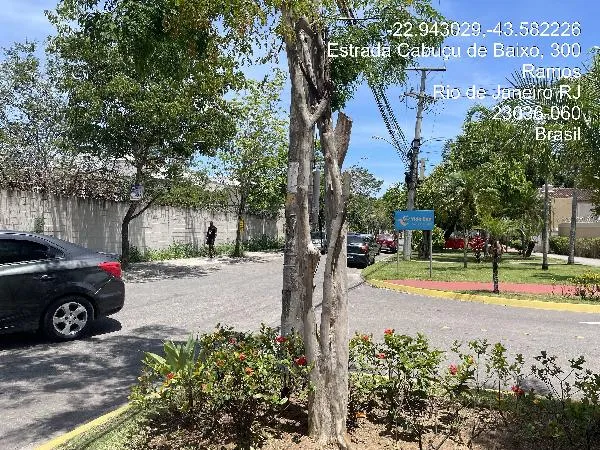 Imagem do imóvel CA95091